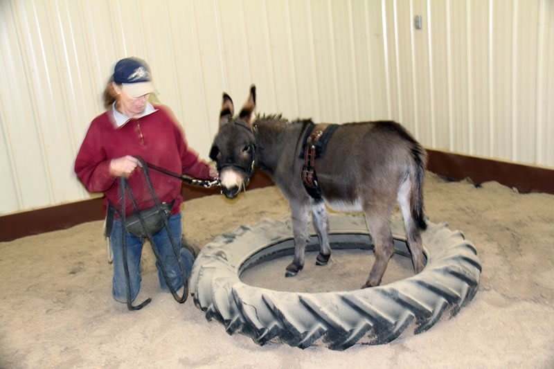 Turning around in a tractor tire? On the ground? That’s pretty cool.