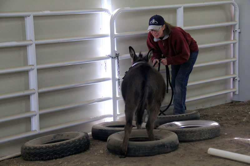 It’s a little tricky going through the tires here, but she’s supportive!