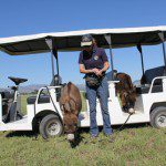 Meredith with mini donkeys Spuds and Augie on golf cart