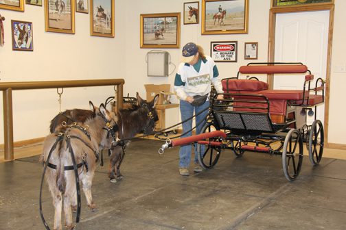 Hey, guys…check this out!... Looks a little like the tour cart to me!